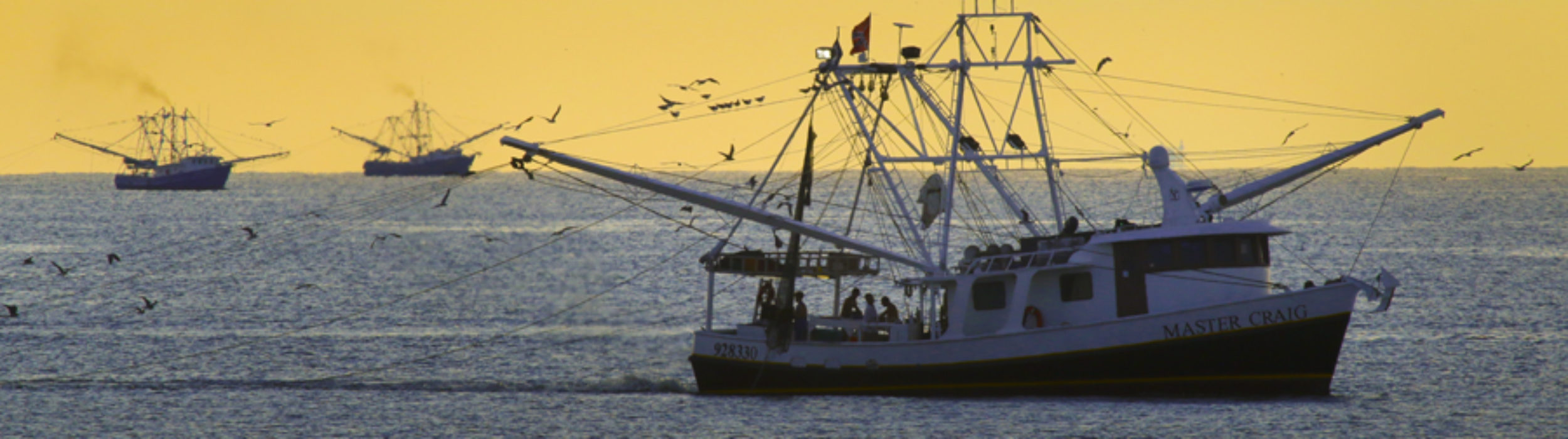 Gulf Seafood Foundation – "Voice of the Gulf"